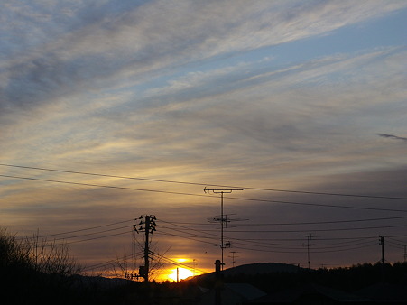 IMGP0012