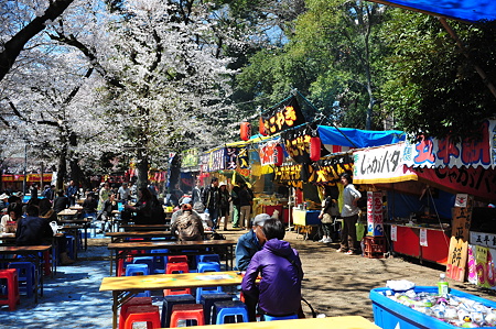 2012/4 Cherry blossom＠千鳥ヶ淵-25