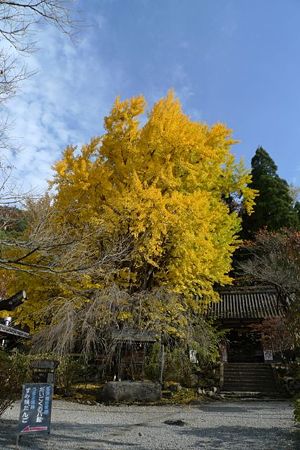 P1060560