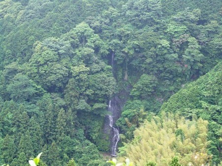 則沢不動滝　2011.6.12-2
