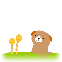 image4489