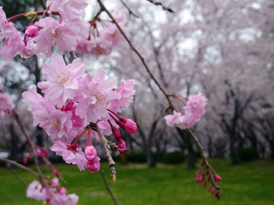 2012041303 2012041303