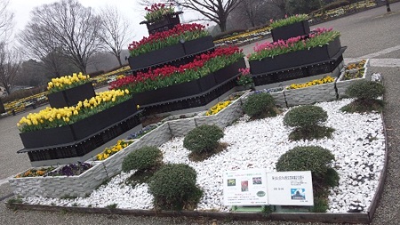 アイスチューリップ@相模原公園