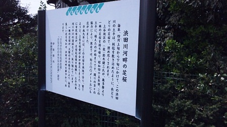 解説