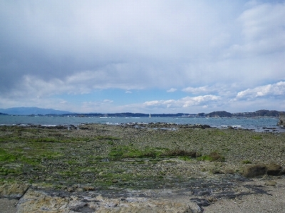 IMGP2657