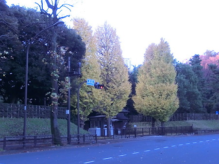 CIMG0944