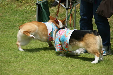 DSC05999
