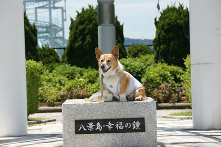 DSC06135