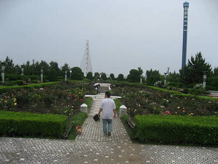 IMG_9581
