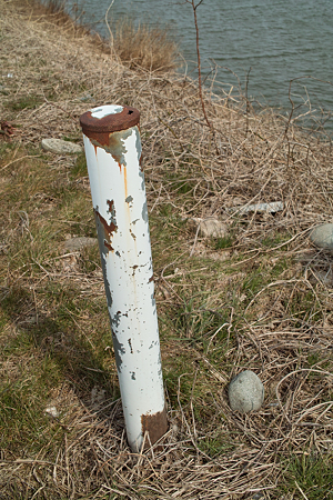 pole03042012dp2