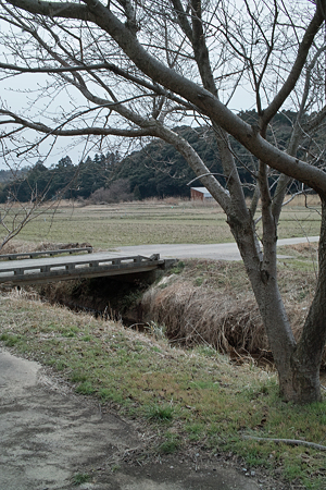 bridge03112012dp2