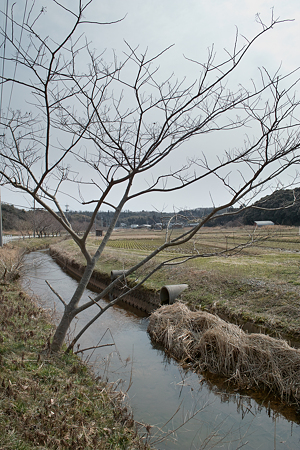 Creek03112012dp1