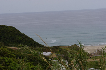 IMGP5584