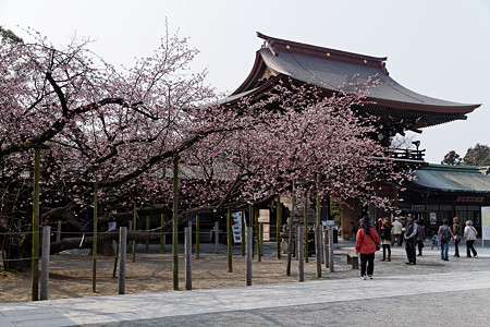 IMG_9109_DxO