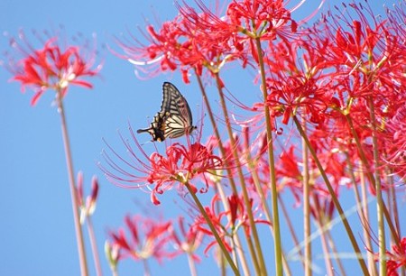 IMGP4912_0923