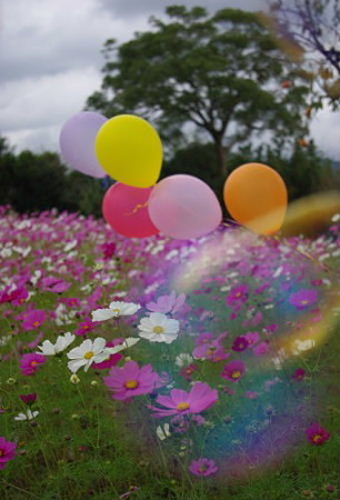 IMGP8465_1013