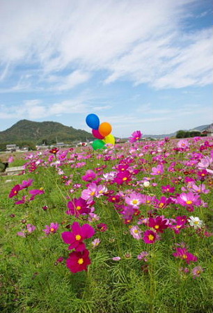 IMGP8820_1029