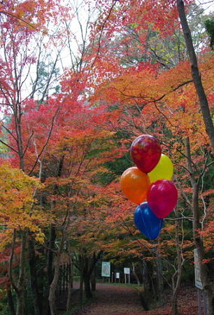 IMGP0176_1120