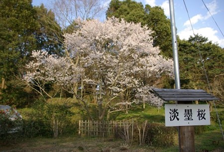 IMGP0079_0331