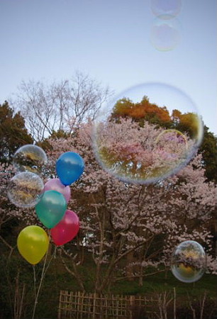 IMGP0805_0331