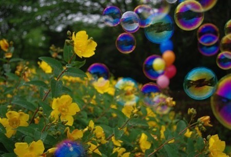 IMGP5754_0609