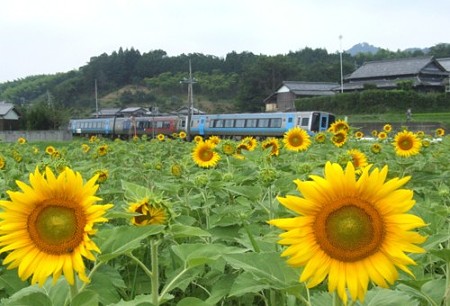 DSCF5659_0716