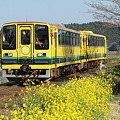 いすみ鉄道　ムーミン列車3