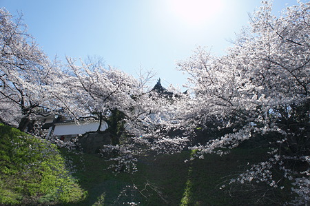 DSC01984