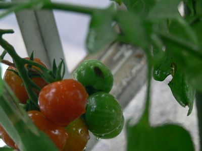 P1130383