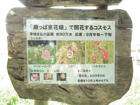 昭和記念公園 373