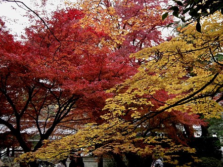 京都 724