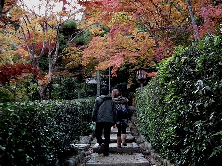 京都 327