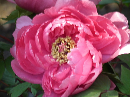 DSCF0201