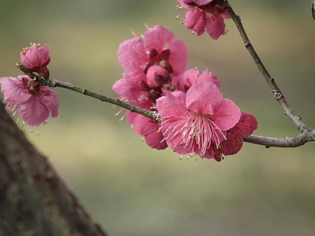 DSCF0258