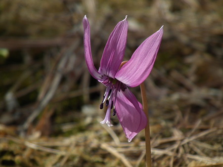DSCF0054