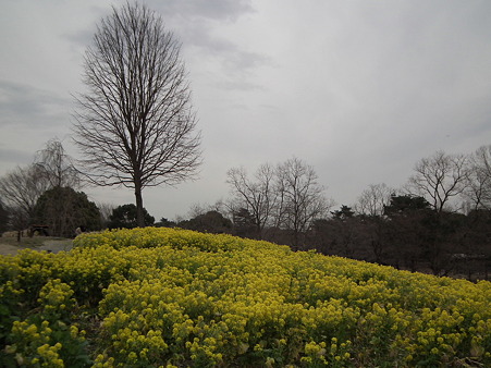 DSCF0375