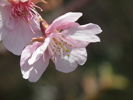 DSCF0105