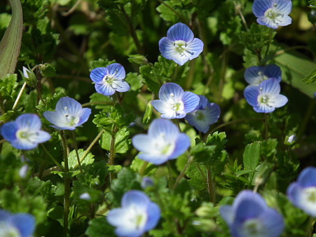 DSCF0019
