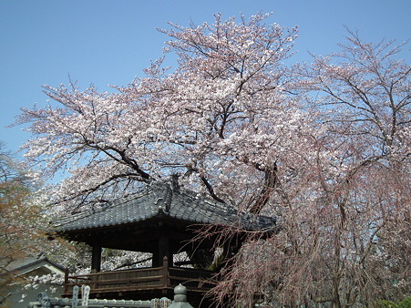 DSCF0323