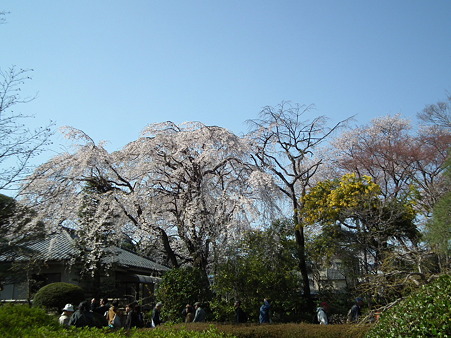 DSCF0356