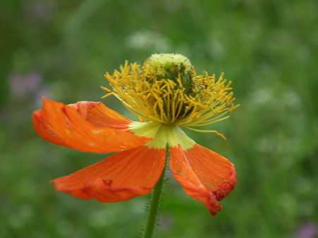 DSCF0514