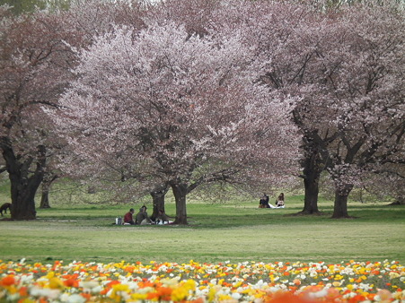 DSCF0533