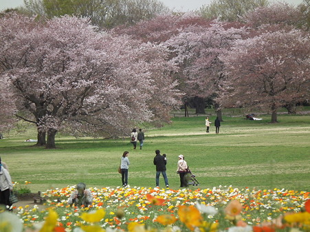 DSCF0484