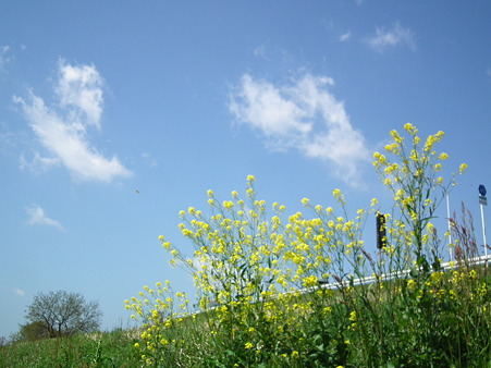 DSCF0001