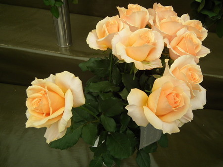 DSCF0608
