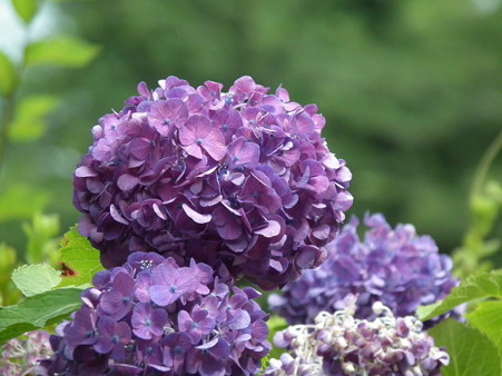 DSCF0033