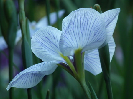 DSCF0487