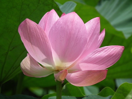 DSCF0086