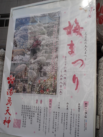 湯島天神 梅まつり