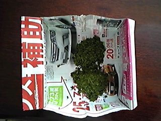 出がらし茶_01